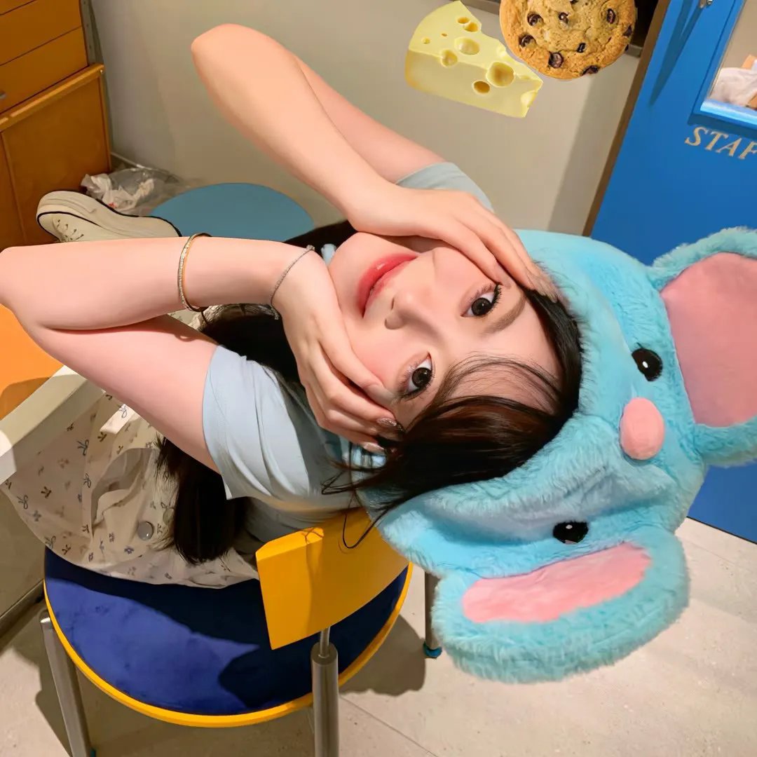 东北美发天团