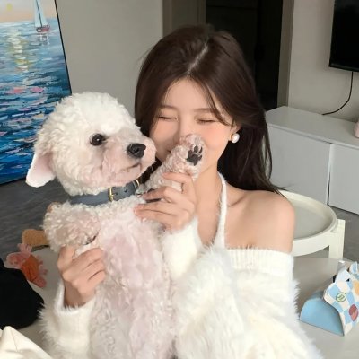 飞吧冰球